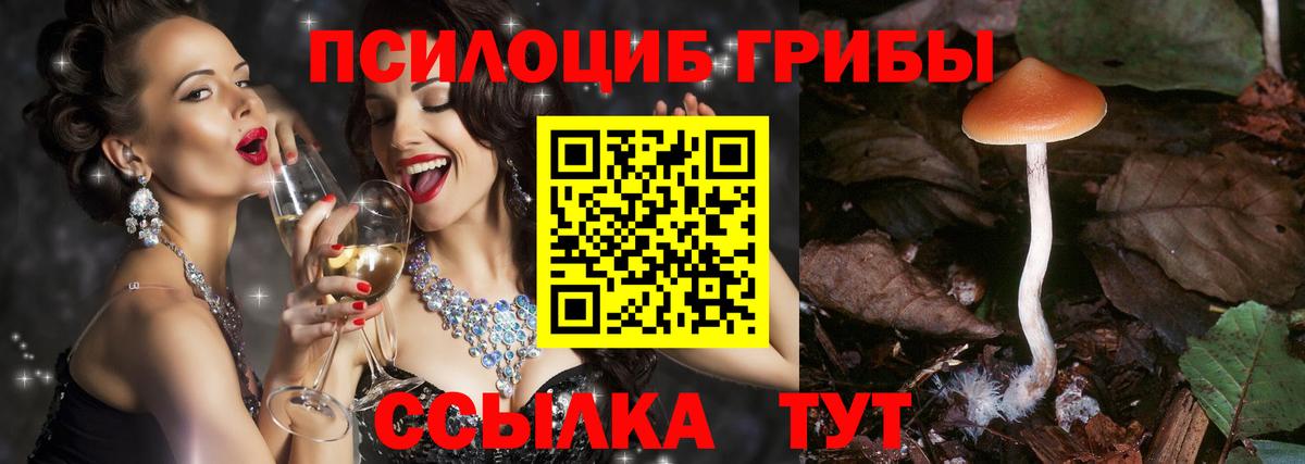 Галлюциногенные грибы Cubensis Хасавюрт